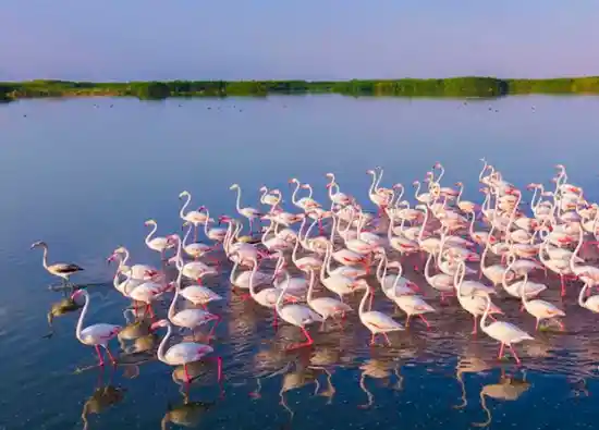 تالاب میقان