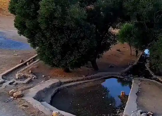 چشمه وقت و ساعت