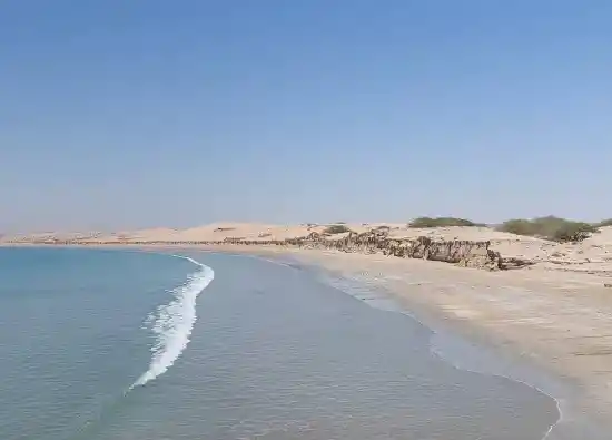 ساحل آرام ونک