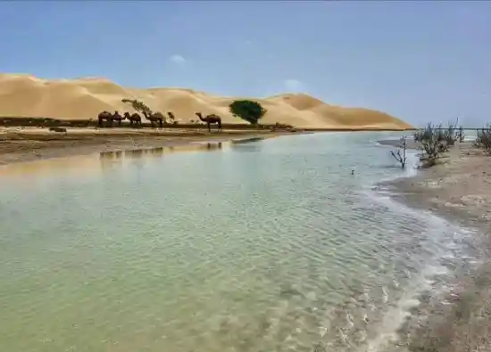 شبه جزیره زیارت سر