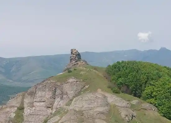 ستون داشی