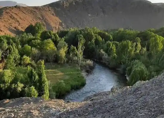 چم علیشاه
