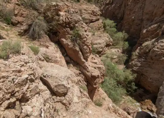 تنگه بردو