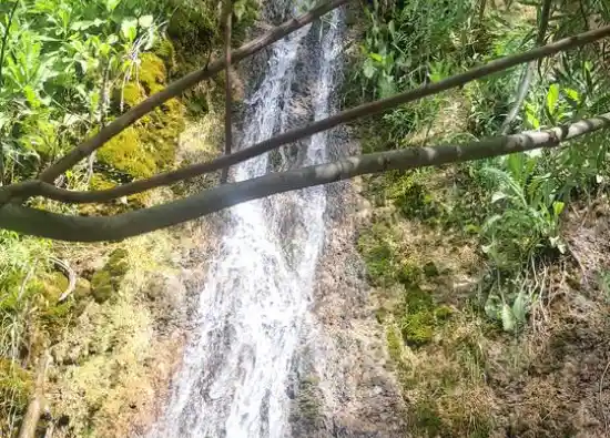 آبشار خوش میوه