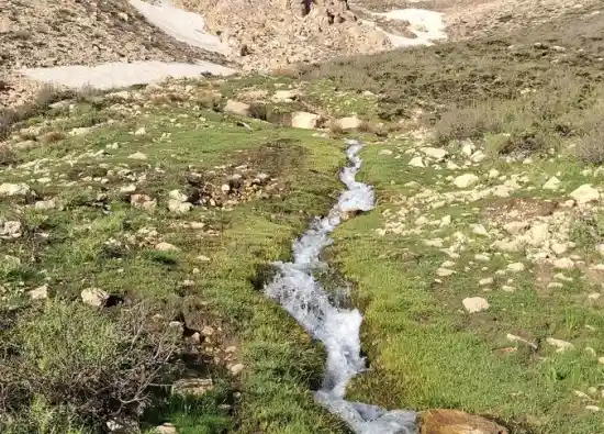 چشمه انجیر چک