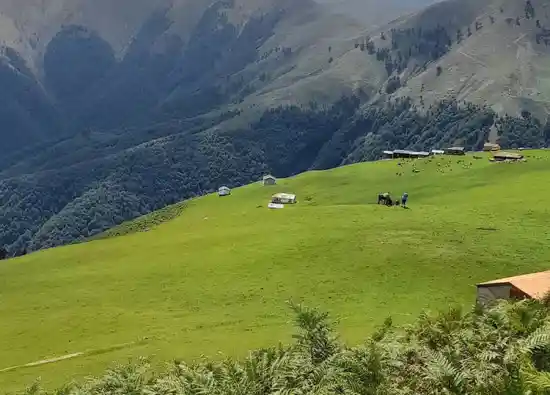 ییلاق گردسوئه