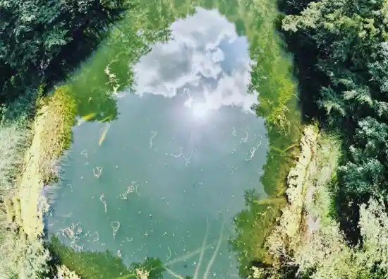 دریاچه فراخین