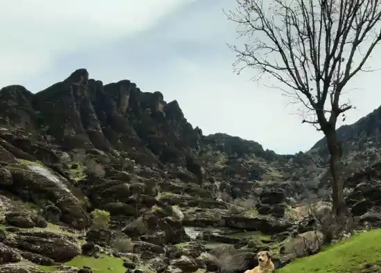 قله مخملکوه