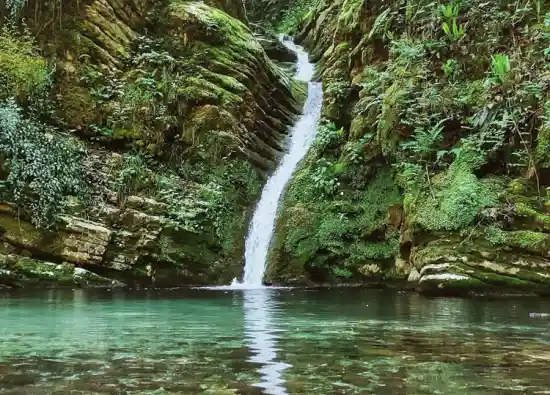 آبشار کیامید