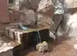 چشمه ابیانه