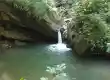 حوضچه جنگل کوریه آلیان