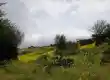 دشت لشم