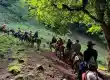 جنگل لیسار به سوباتان