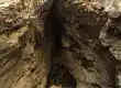 غار کلاغ وحشی