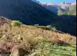 ییلاق شیرین دشت