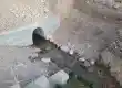 قنات تیمارگون