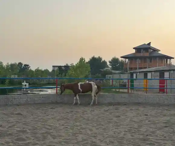 اقامتگاه بومگردی شاتوت-1