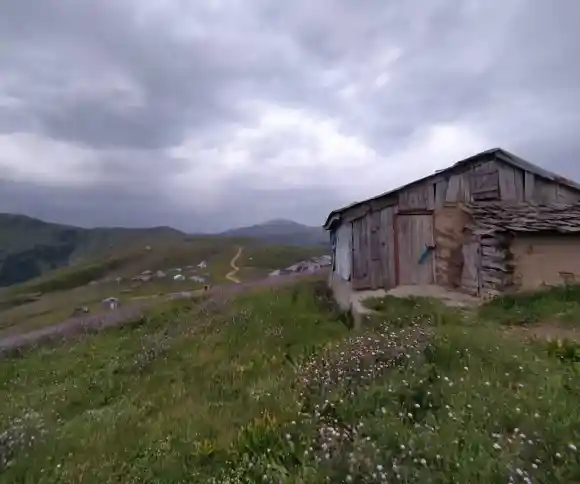 مجتمع گردشگری تک درخت-1