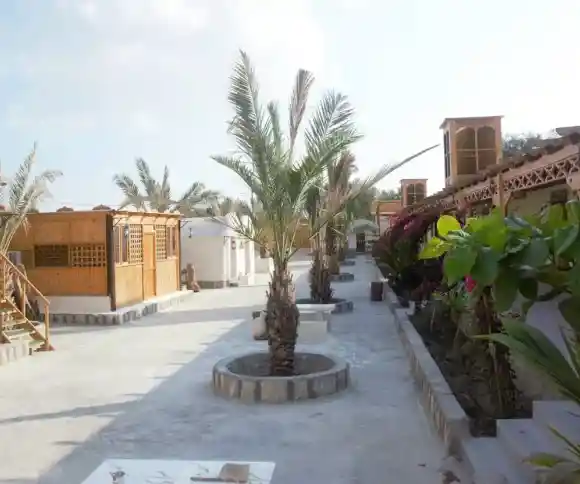 مهمانسرای نخل پگروم سهیلی-1