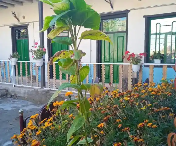 اقامتگاه بومگردی کامران-1