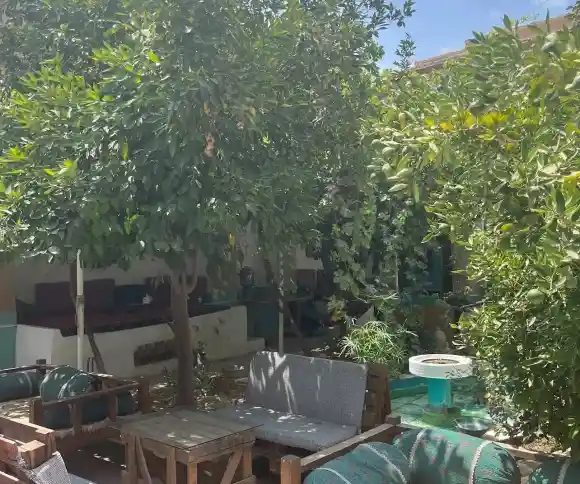 کافه خانه سبز-1