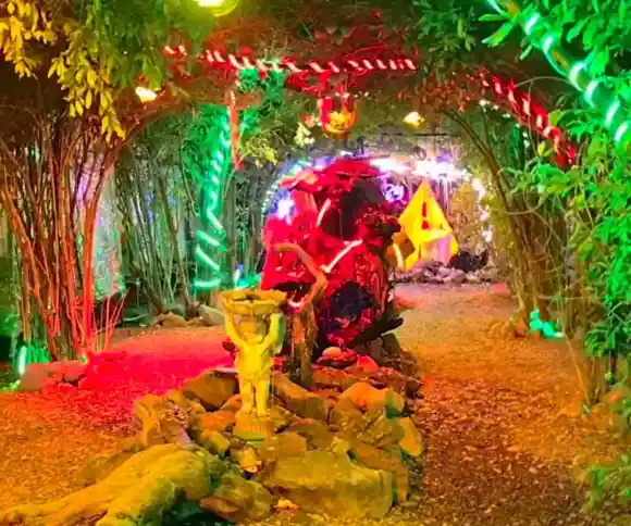 کافه سرخ پوست-1