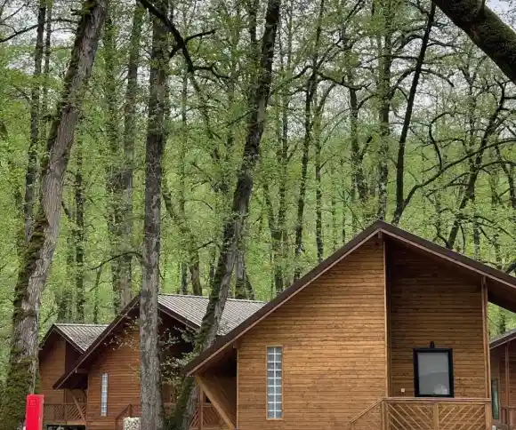 هتل جنگلی میزبان-1