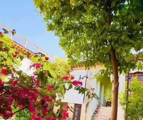 اقامتگاه بومگردی خانه شیراز-1