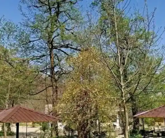 کلبه اکو کمپ سه هزار-1