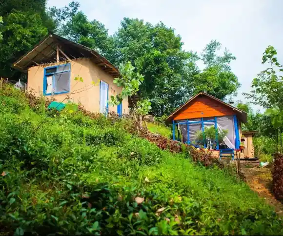 اقامتگاه بومگردی پرداروم-1