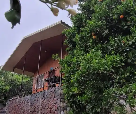 کلبه باغ ملک-1