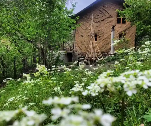 کلبه فیروزه ای-1