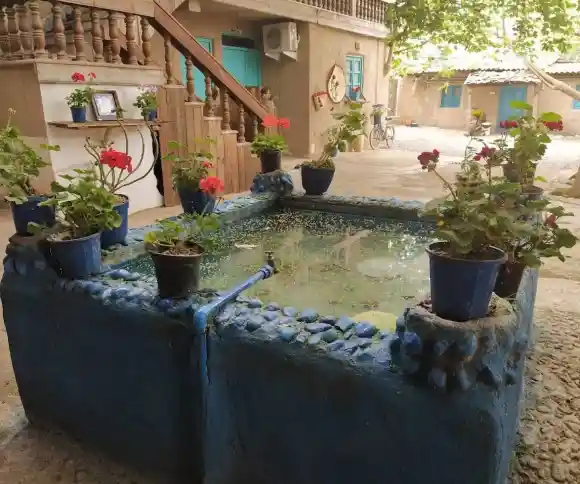 اقامتگاه بومگردی عاروس ویشه-1