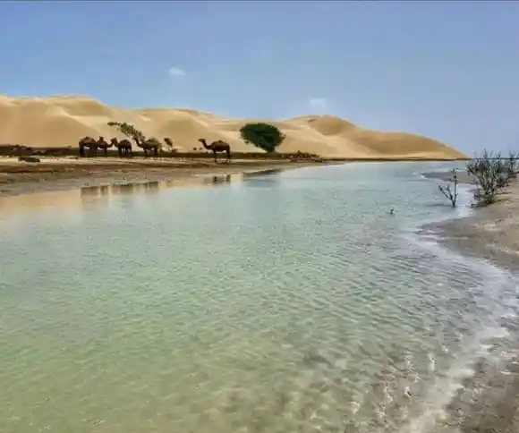 شبه جزیره زیارت سر-1