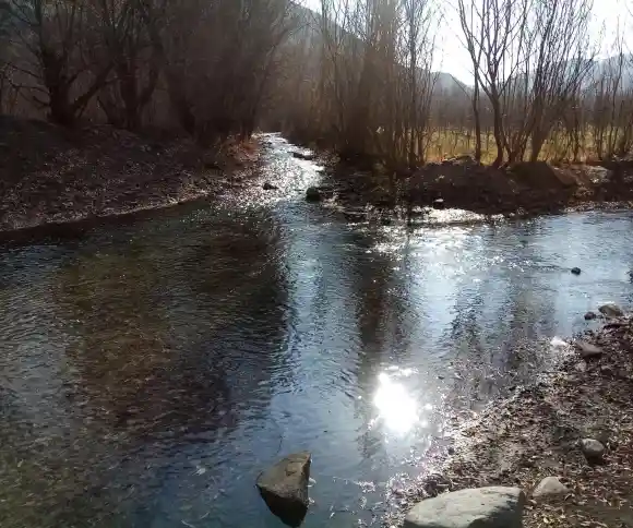 دوآبی فریزی-1