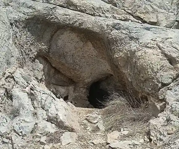 غار دلمو-1