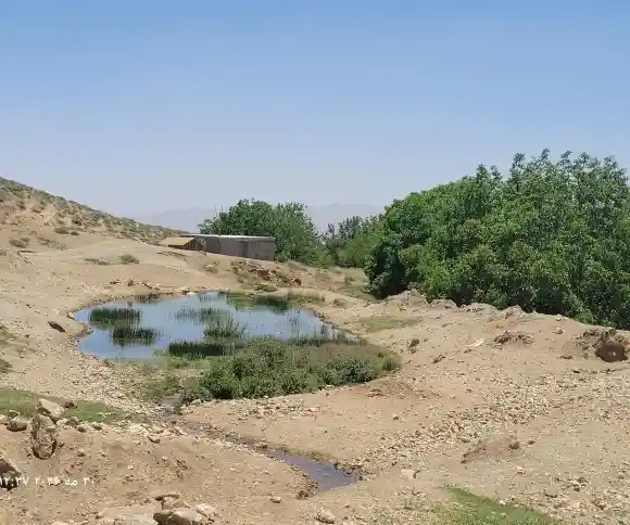 چشمه علی-1