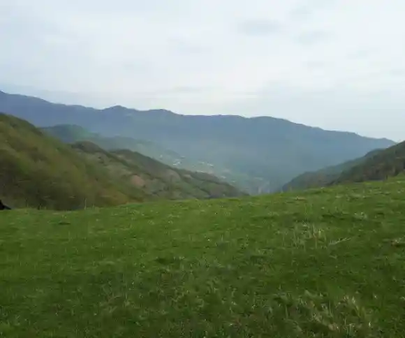 دشت مومبی-1
