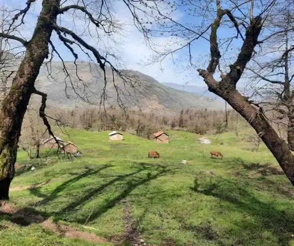 ییلاق ملاهونی-1