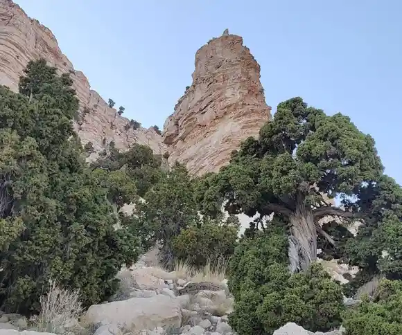 تنگه جلال-1