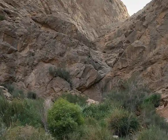 دره باغ گلزار-1