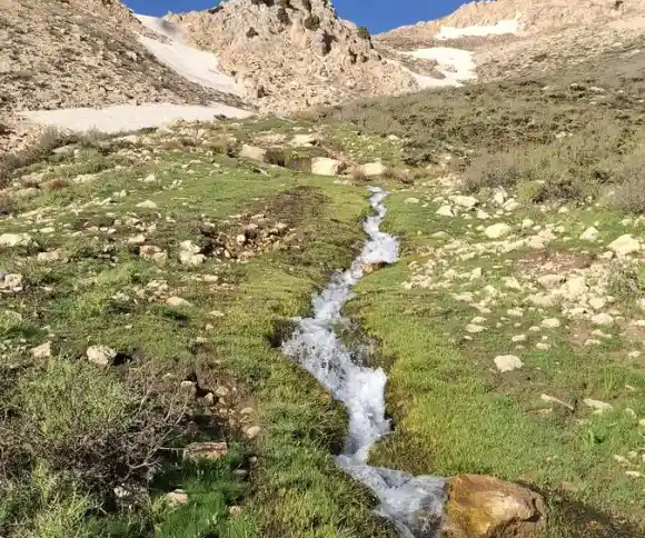 چشمه انجیر چک-1