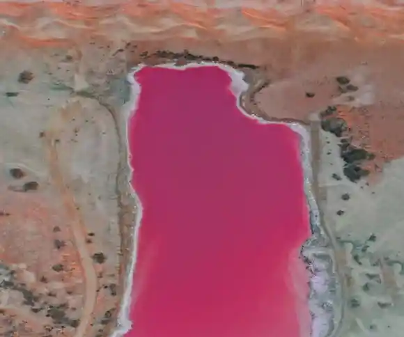 تالاب صورتی چابهار-1