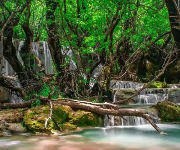 آبشار نای انگیز-1