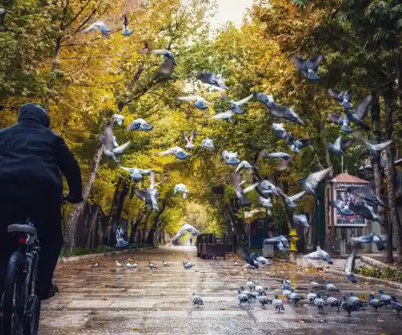 چهارباغ عباسی-1