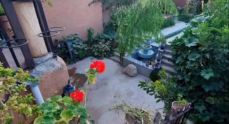 اقامتگاه بومگردی دره پرستوها