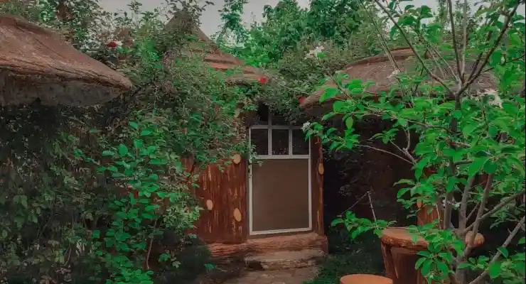 مجتمع گردشگری پاسارگاد