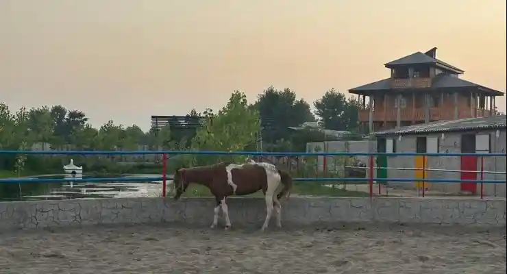 اقامتگاه بومگردی شاتوت