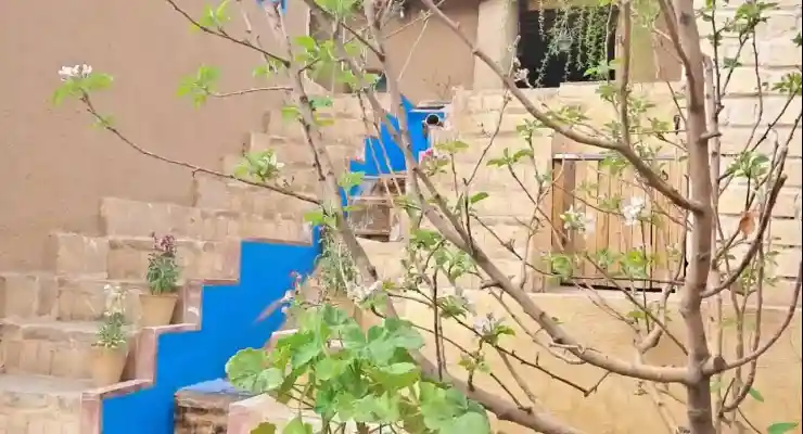 اقامتگاه بومگردی آمیرزا