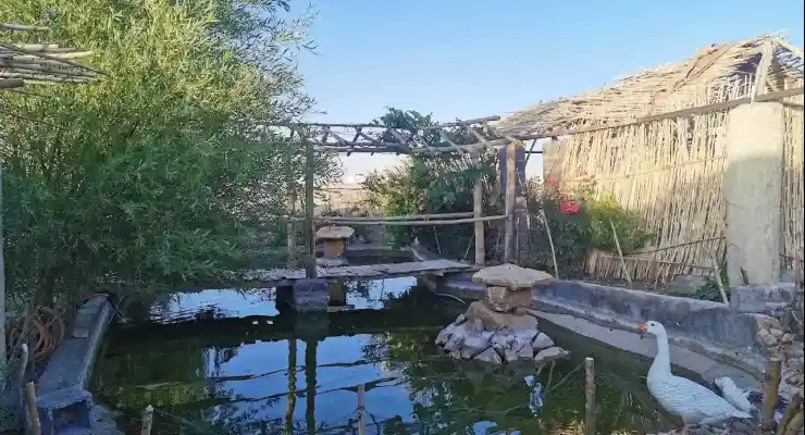 اقامتگاه بومگردی ننو عذرا